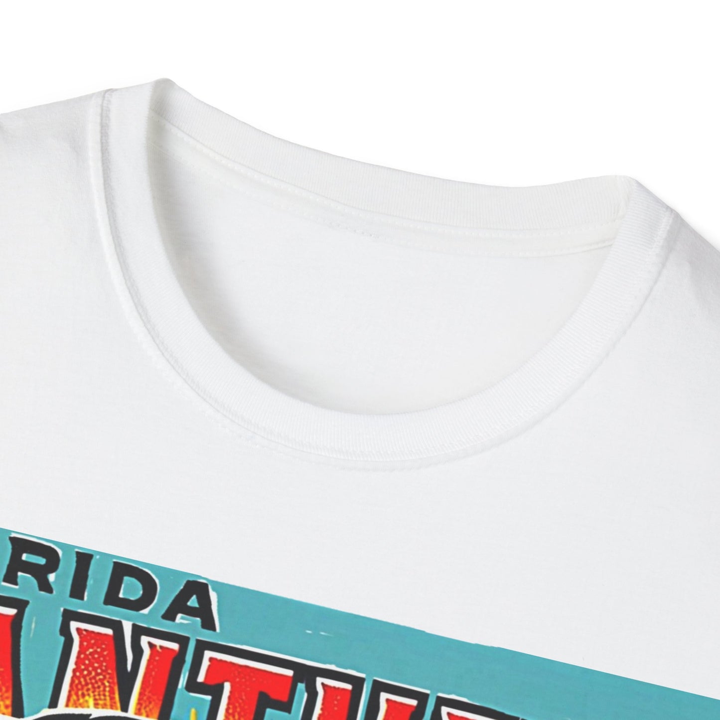 Florida Panthers Tee Unisex Softstyle T-Shirt Sports Team