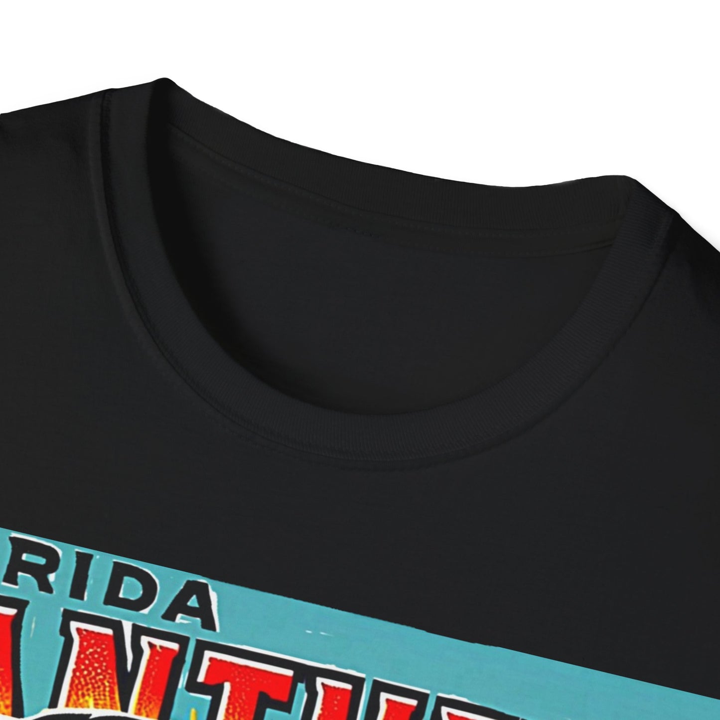 Florida Panthers Tee Unisex Softstyle T-Shirt Sports Team