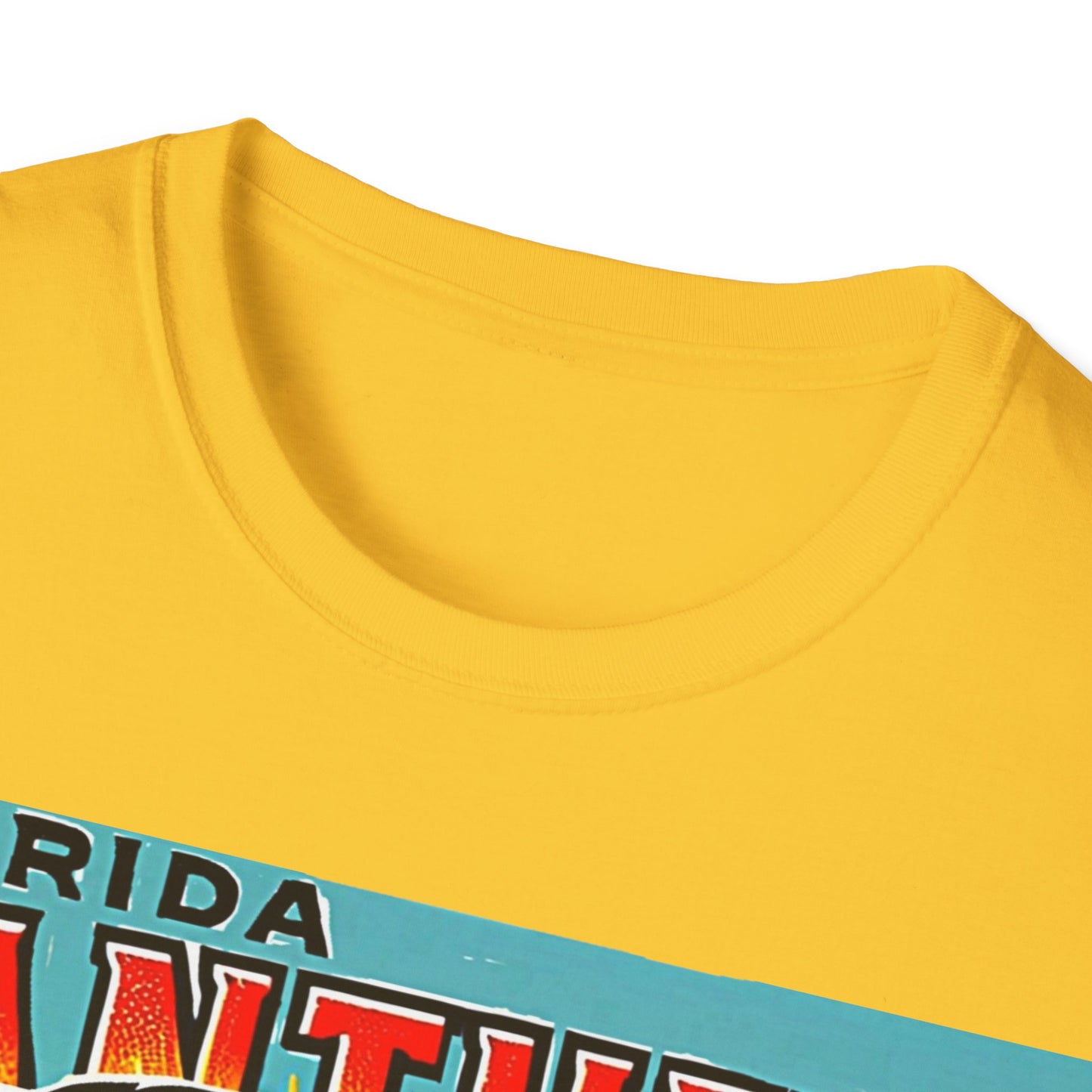 Florida Panthers Tee Unisex Softstyle T-Shirt Sports Team