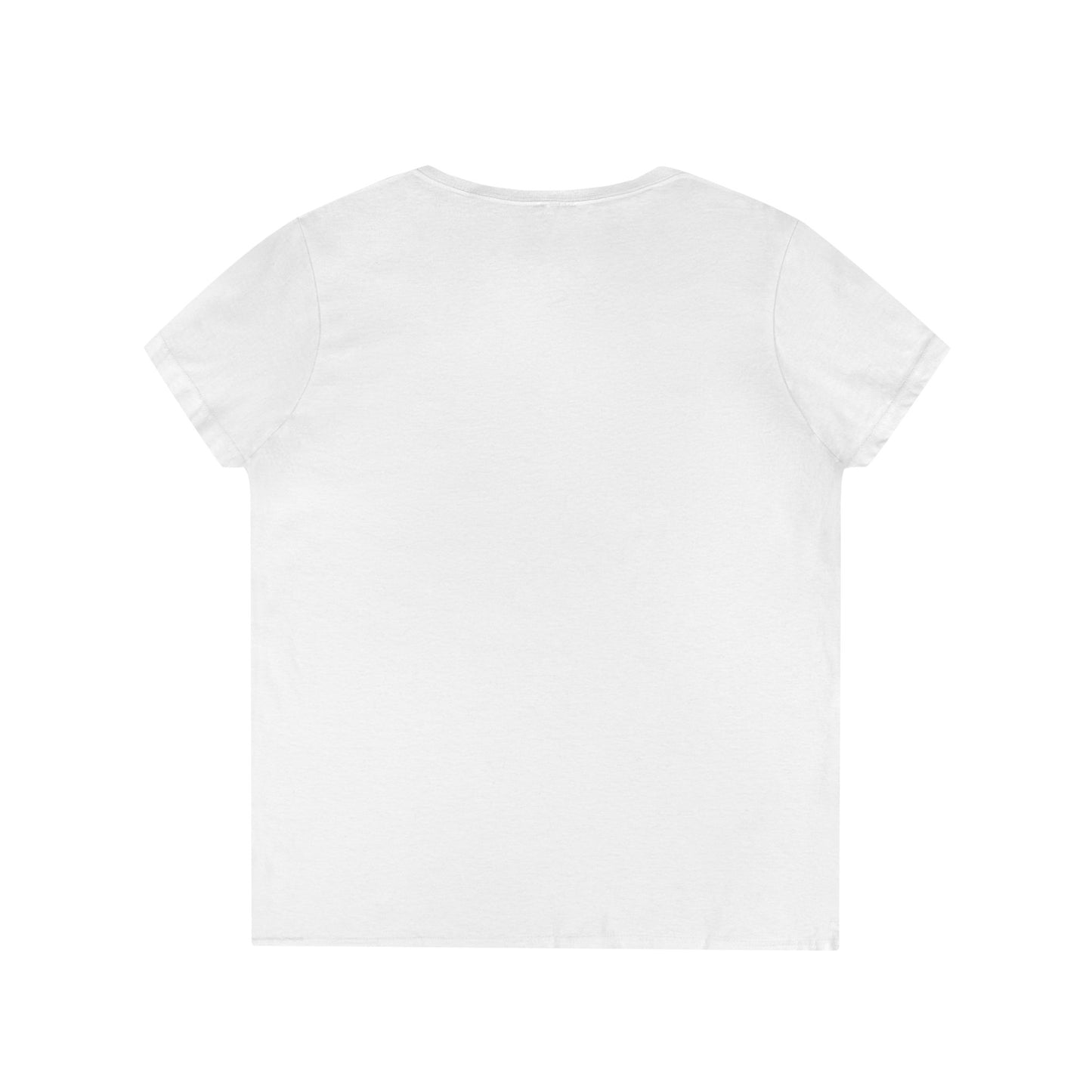 Dolphins Ladies' V-Neck T-Shirt